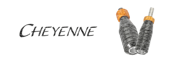 Tattoo Grips for Cheyenne