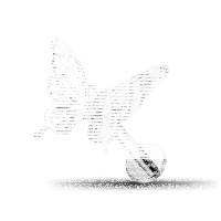 Piercing Labret - Butterfly Design - 1.2 x 6 mm