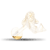 Piercing Labret - Koi Design - 1.2 x 6 mm